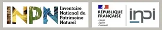 LE BAC FRANCAIS
